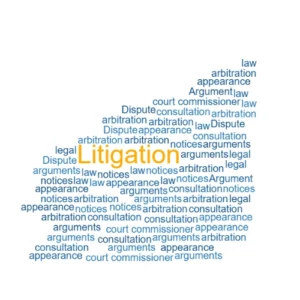 litigation in cyber crime